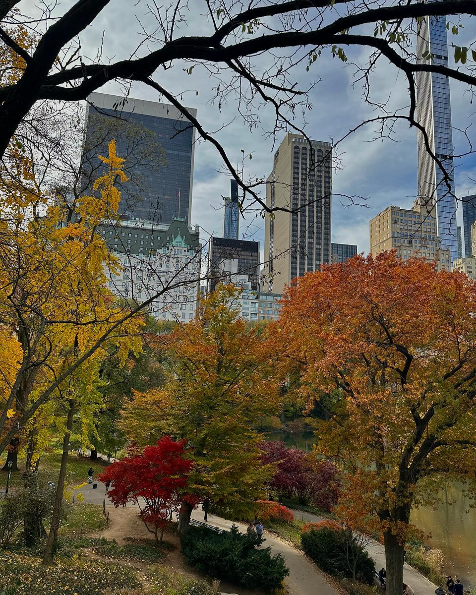 Autumn in New York is a colorful painting 🍂🍁. The woods rustle in the breeze, and the leaves of oak and maple trees are dyed with golden, orange and crimson, making the whole city seem to be immersed in a warm sea of ​​colors 🌳🍂.#sunrise
