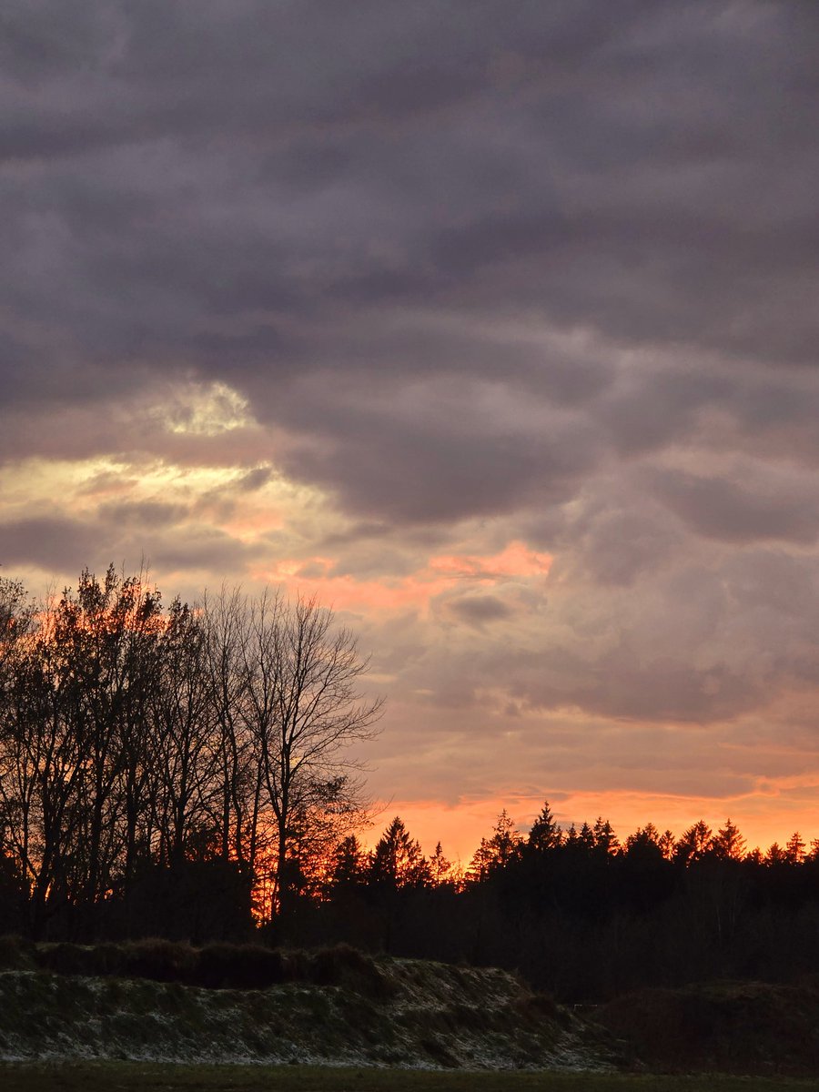WendtLydia's tweet photo. Evening stroll 🧡 sunset #stroll #evening #sunset #photography #beautiful #nature https://t.co/3EuSctAvst