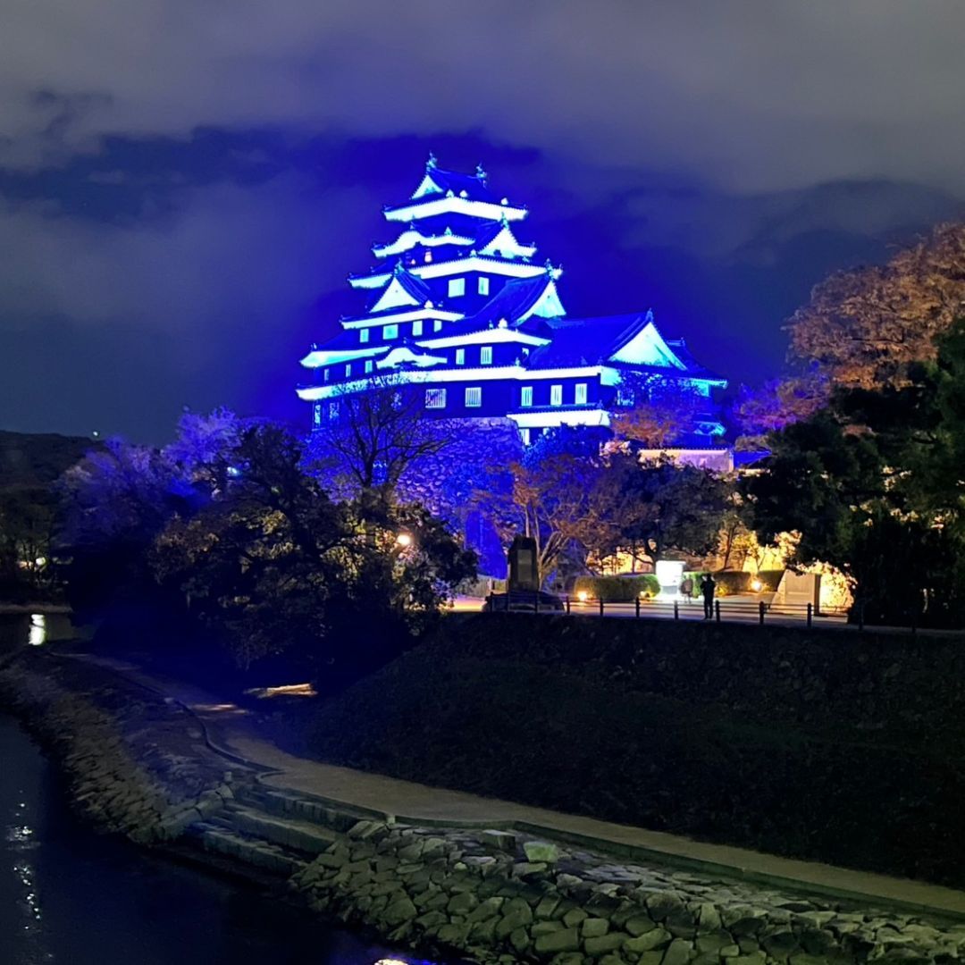 mygutfeelingca's tweet photo. A heartfelt thank you to our incredible partners for making #ThePowerOfPeriwinkle initiative a glowing success in Japan! #OkayamaCastle is lit up in Periwinkle Blue! https://t.co/9YhnIrX2i1