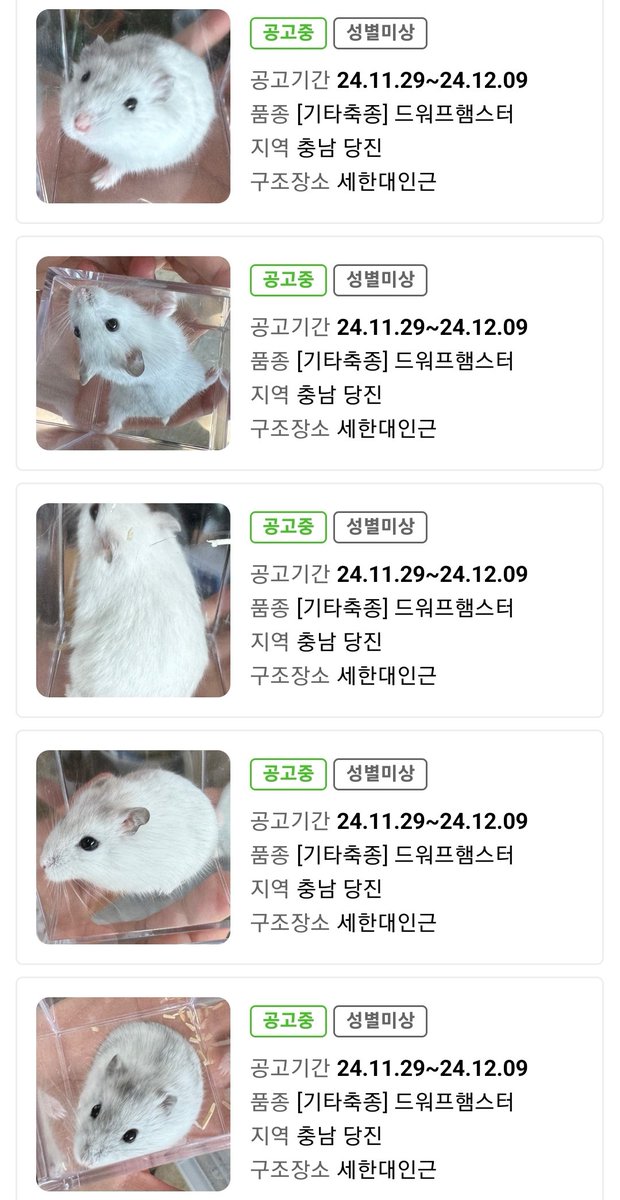 컷오프 프로젝트 tweet media