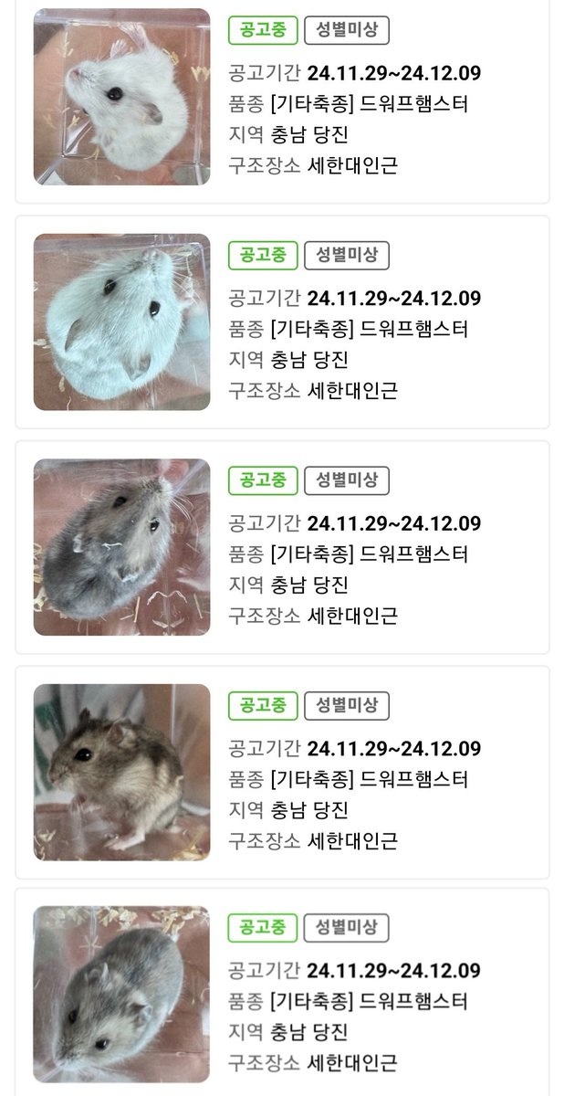 컷오프 프로젝트 (@cut_off_project) on Twitter photo 