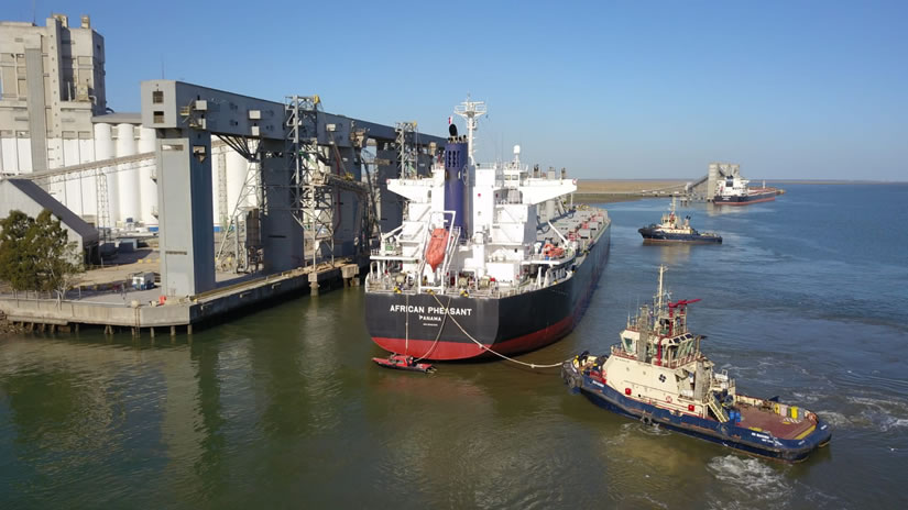 puesterosradio's tweet photo. 🚨#AHORA 🗣️#EXCLUSIVA
🇦🇷🇨🇳Argentina exportará, desde Bahía Blanca, trigo a China por primera vez
👔Así lo confirmó Gustavo Idígoras, presidente de CIARA-CEC, con @rusomanas
👂Acompañanos en #Puesteros hasta las 13 por https://t.co/f9PykvYJqs https://t.co/S4ek13gSFF