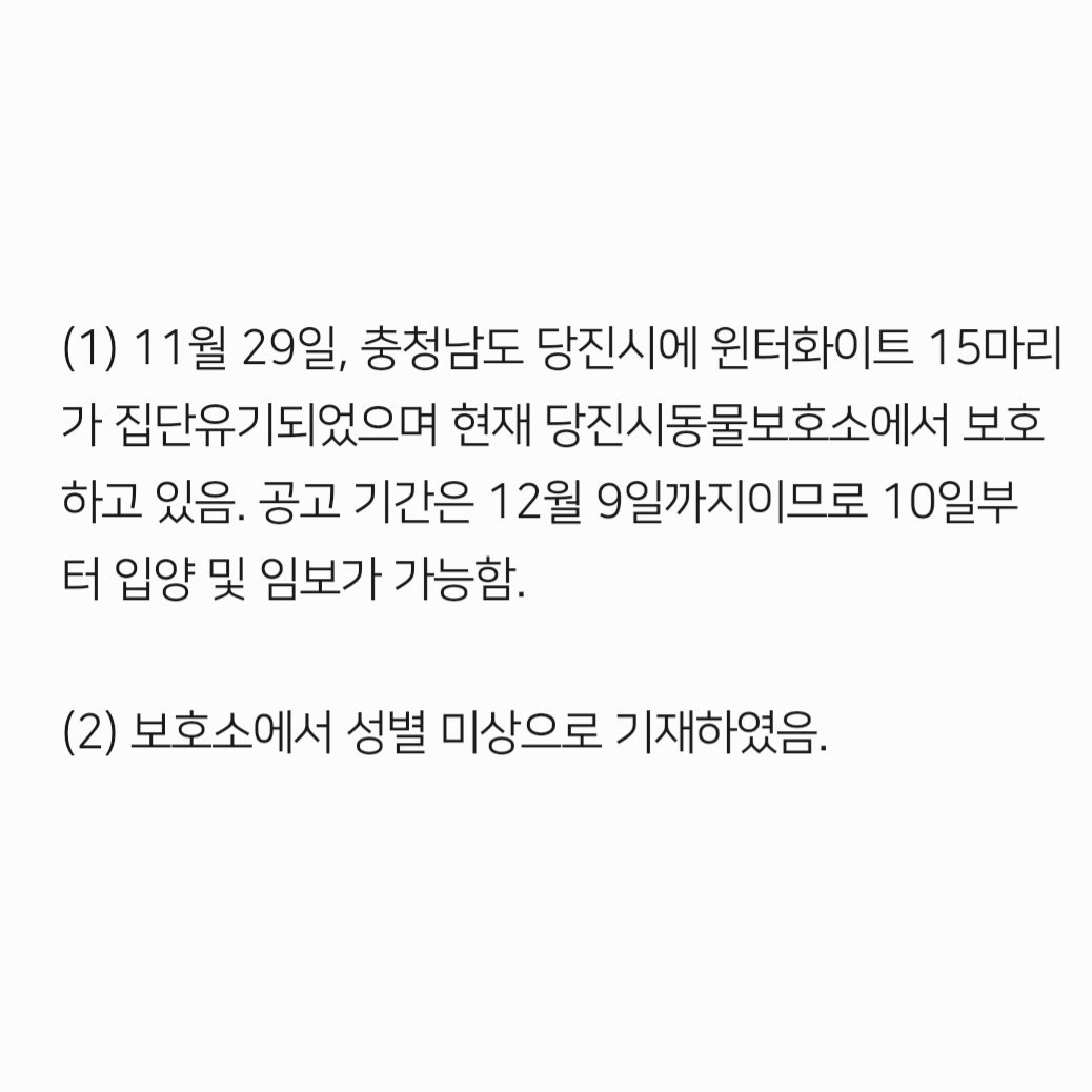 컷오프 프로젝트 tweet media