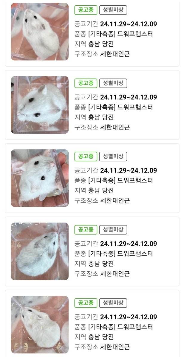 컷오프 프로젝트 tweet media