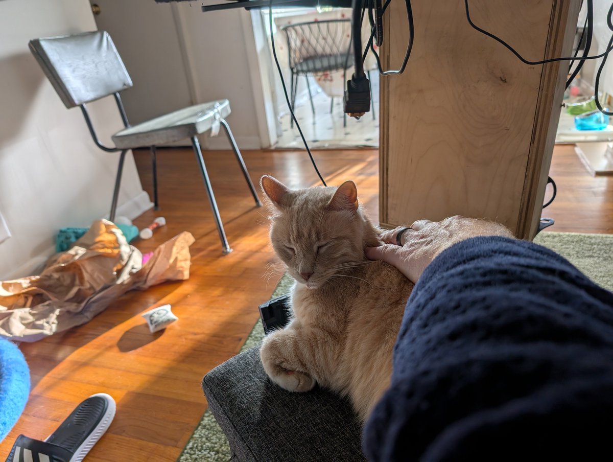 spkorb's tweet image. 