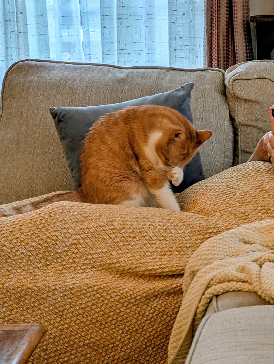 spkorb's tweet image. 