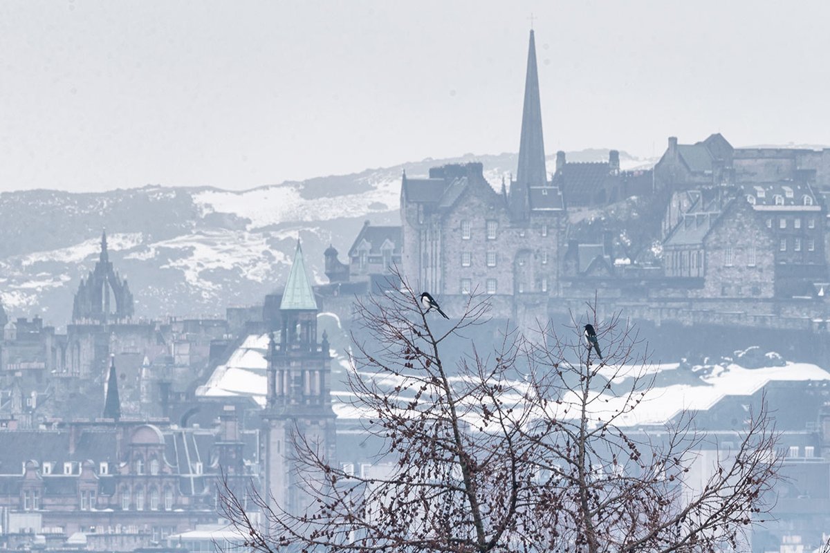 Tom Duffin Photography (@tomduffinphotos) on Twitter photo The view of Edinburgh from Corstorphine Hill is one of the designs for my Winter Greeting Cards that folk are sending to their close relatives and special friends.
See all 45 of them over here:
tinyurl.com/TDWinterCards
<a href="/edinburghcastle/">Edinburgh Castle</a> <a href="/StGilesHighKirk/">St Giles' Cathedral</a> <a href="/StMarysCathEdin/">St Mary's Cathedral</a> The view of Edinburgh from Corstorphine Hill is one of the designs for my Winter Greeting Cards that folk are sending to their close relatives and special friends.
See all 45 of them over here:
tinyurl.com/TDWinterCards
<a href="/edinburghcastle/">Edinburgh Castle</a> <a href="/StGilesHighKirk/">St Giles' Cathedral</a> <a href="/StMarysCathEdin/">St Mary's Cathedral</a>
