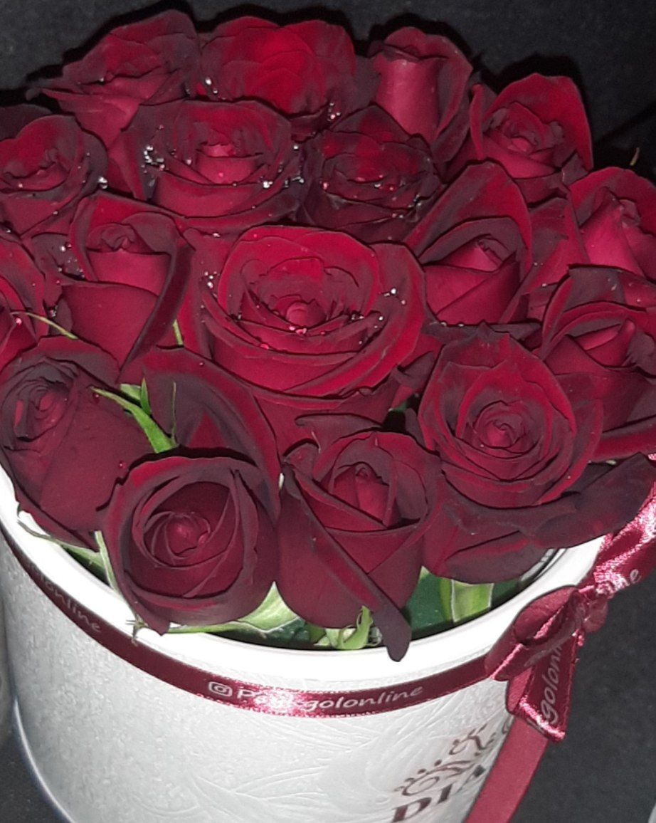 Malihekhatoon's tweet photo. و شاید عشق همین باشد 
که گاهی باد عطر تورا باخود بیاورد
و لابلای گل های زیباحضورت پررنگ شود https://t.co/T8mRD0UHrO