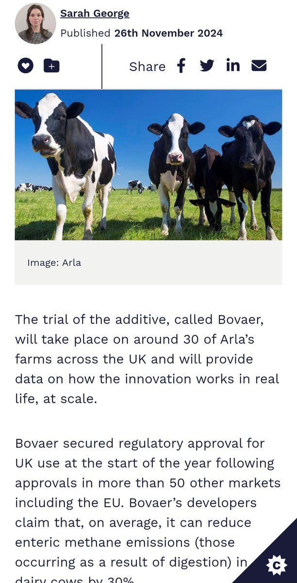 Plainview tweet media