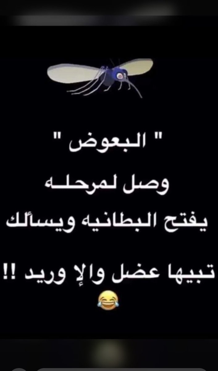 ̶L̶e̶q̶a̶a̶ (@oman39339475me) on Twitter photo 