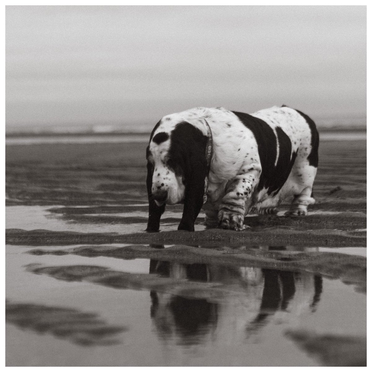 Phil Sledge tweet media