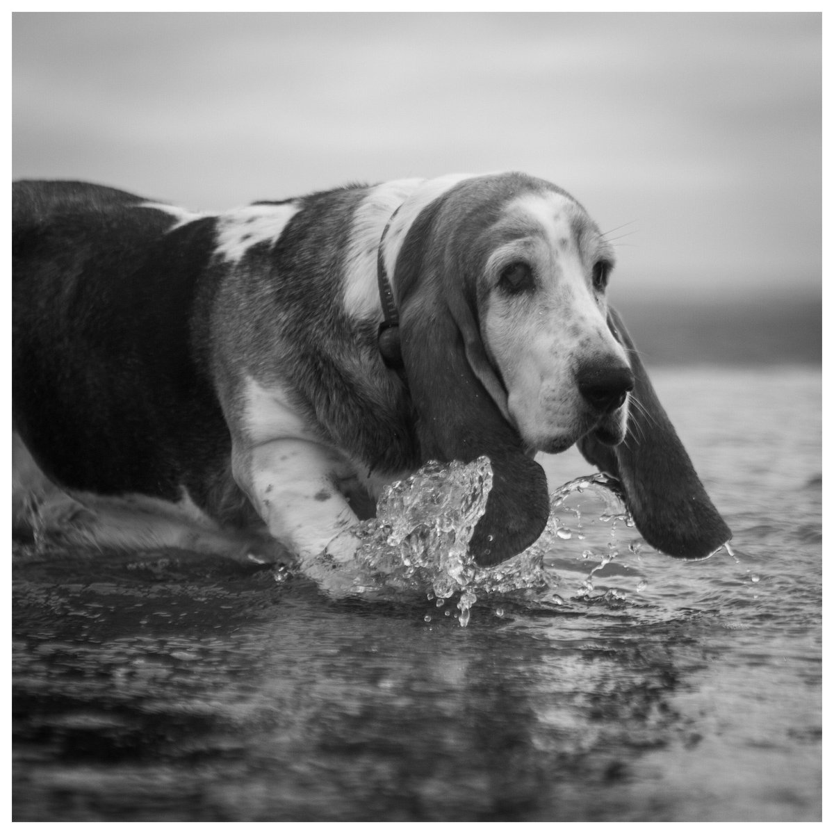 Phil Sledge tweet media