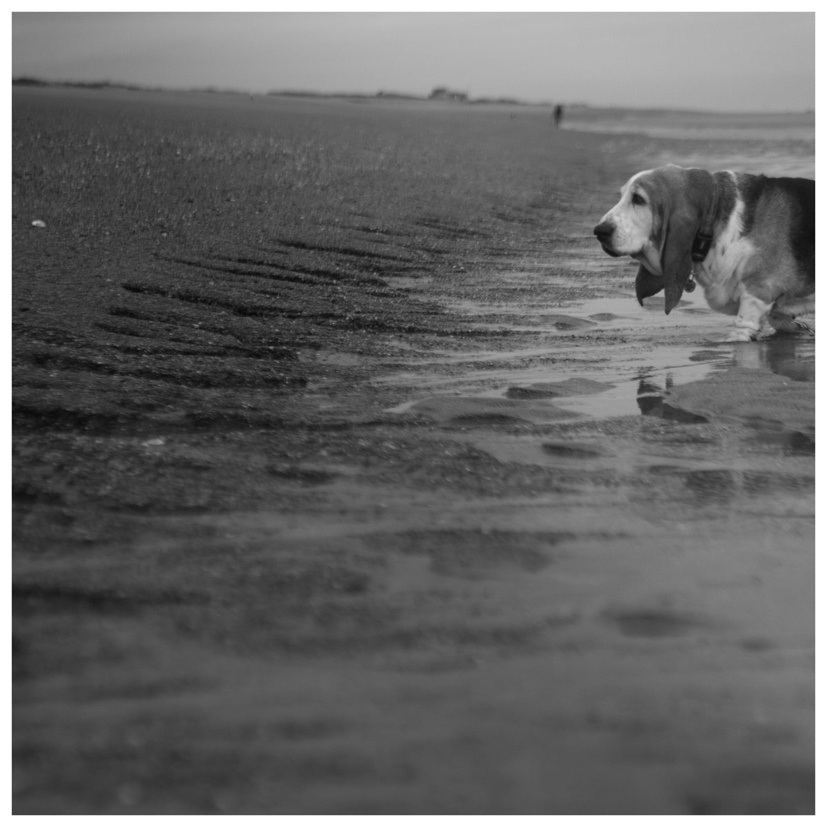 Phil Sledge tweet media