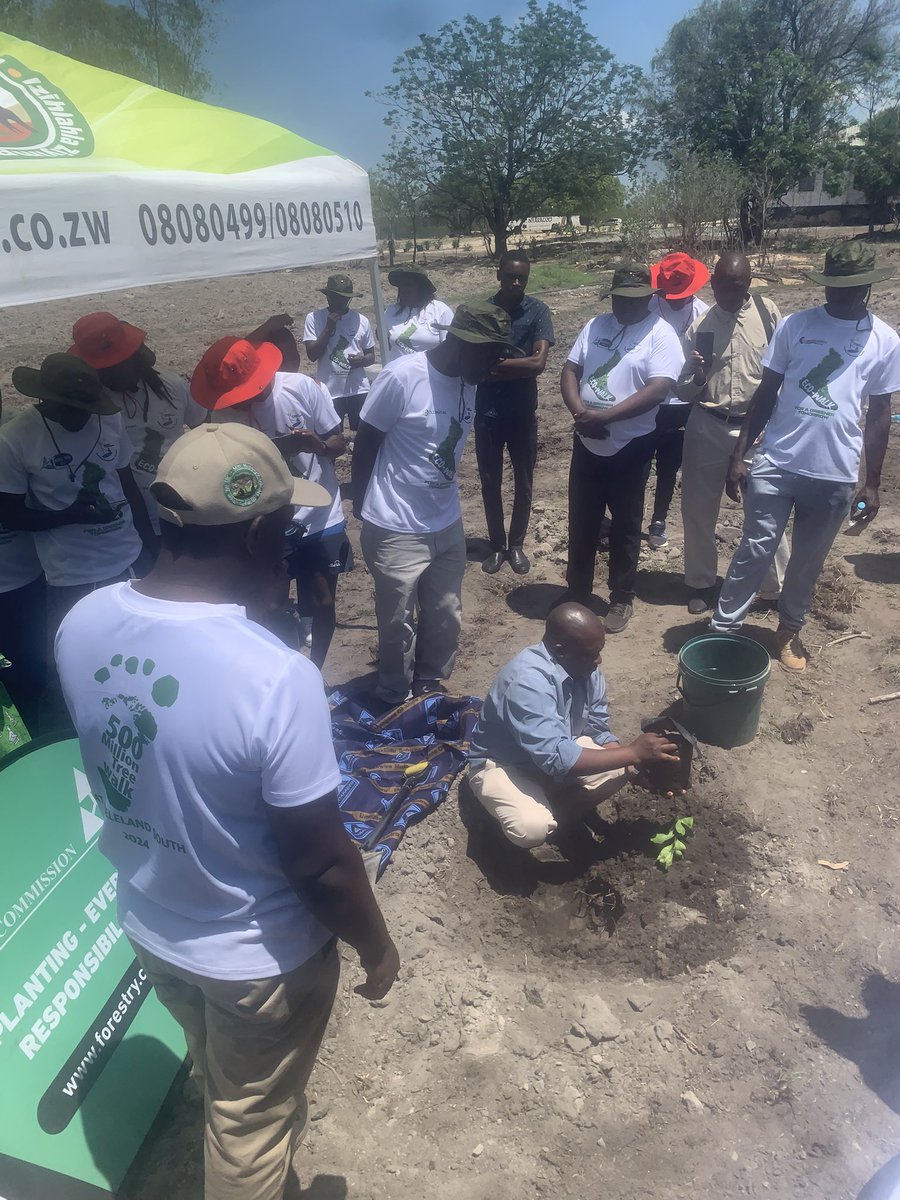 Gwanda Municipality tweet media