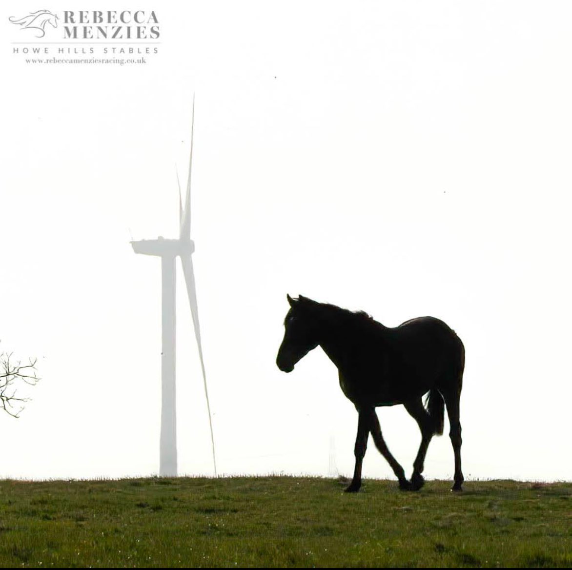 My time at Howe Hills has come to an end and. In my 5 years I have taken 247,412 photos and met some really lovely people, along the way. Here’s are a small selection of my favourite photos. 
onto pastures new……..📷
#racehorse #horseracing #horsephotograph #horsephoto