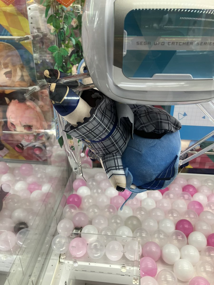 Schrade_'s tweet photo. 3000円くらいまでは取り敢えず粘るぞと意気込んで行ったら2回で手元に来てくれたすいちゃんのぬいぐるみ
お星様の下で撮ってみた✨
スマホなので星は写って無いけれどもはくちょう座とかが肉眼でもはっきり見えました⭐️
 #星街すいせい https://t.co/THcDcNFfY8