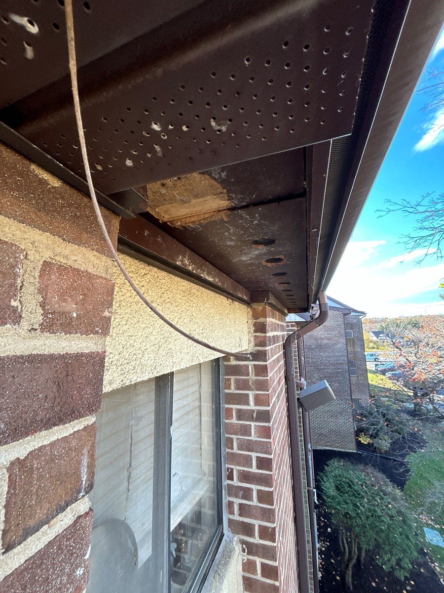 410RoofPRO's tweet photo. Anyone interested in climbing this ladder to fix some soffit? We're looking for some brave individuals. 

#roofpro #maryland #homeimprovements #410roofpro #windowleak #roofleak #window #windowcontractor https://t.co/JwzDWHjoFu