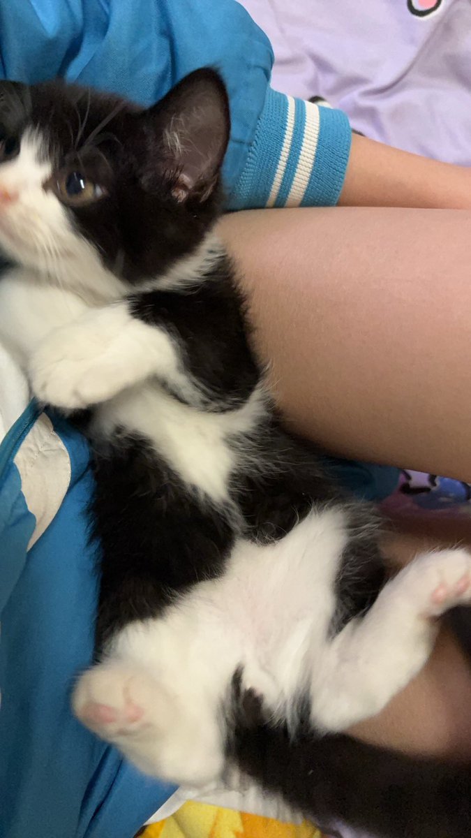 不失眠 tweet media