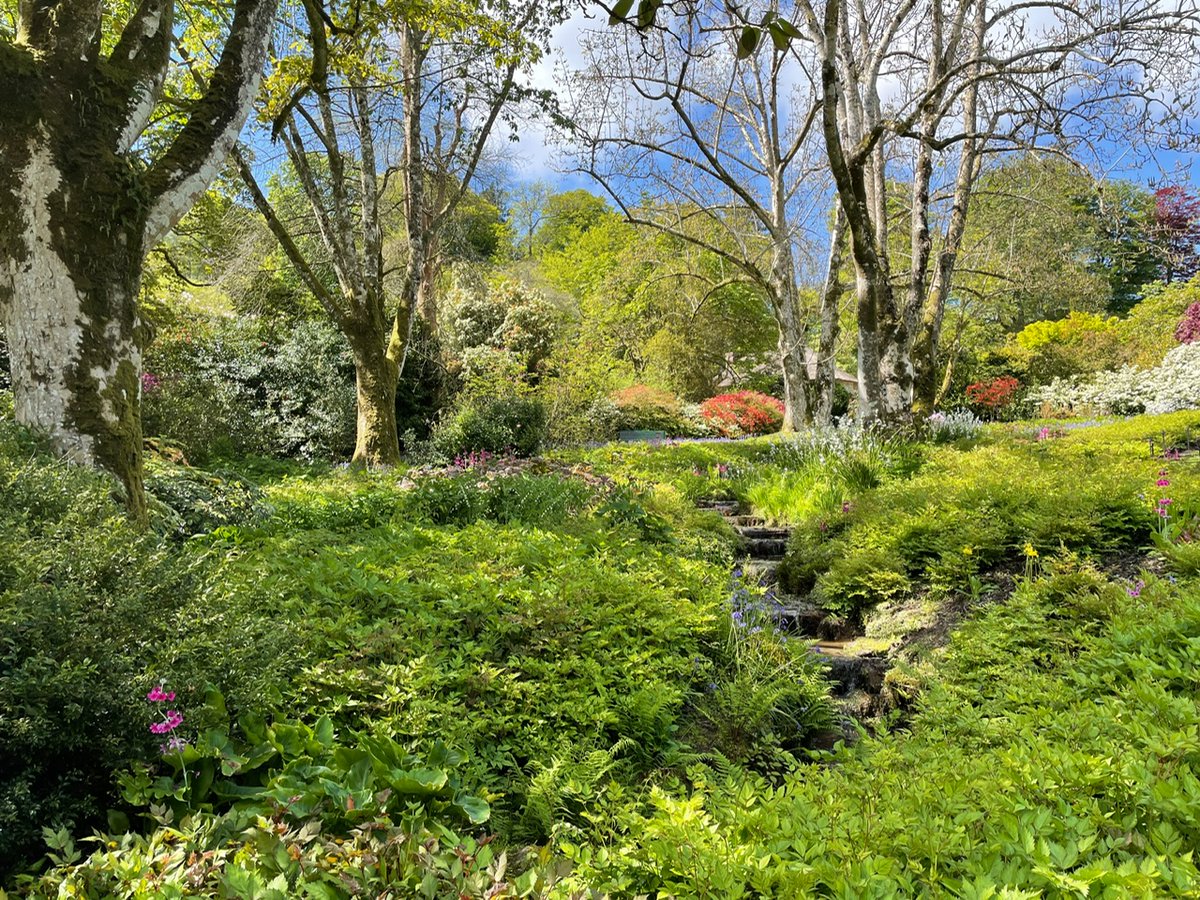 PaganPathwaysUK's tweet photo. In our latest blog we're looking at pauses and diversions on our #pagan and spiritual path. Go to https://t.co/ihg0V7Jc9w and subscribe to our blog to receive a free tarot reading!

#paganblog #paganwriting #paganpaths #spiritualpaths #witchcraft #witch #wicca #paganpathwaysuk https://t.co/Gz62jxHp2l