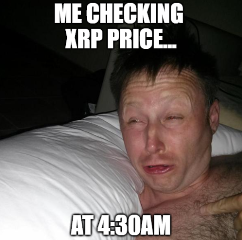 🇨🇦 🇲🇾 604XRP tweet media