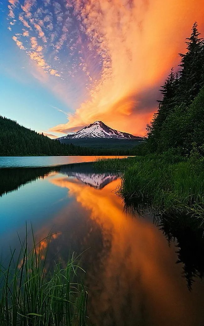 Good night🌄