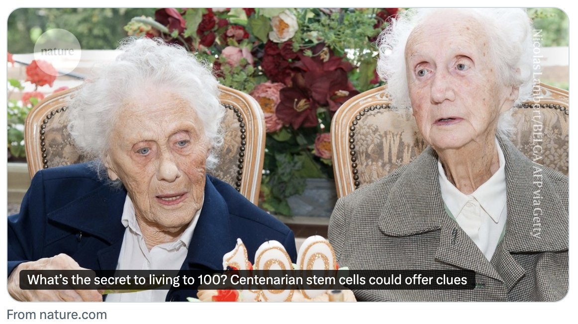 George J. Murphy (@drgjmurphy) on Twitter photo Many thanks to <a href="/Nature/">nature</a> and <a href="/SmritiMallapaty/">Smriti Mallapaty</a> for featuring our work creating and profiling stem cells from centenarians. <a href="/DowreyTodd/">Todd Dowrey</a> <a href="/chiara_herzog/">Dr Chiara Herzog</a> <a href="/gladyshev_lab/">Gladyshev Lab</a> Many thanks to <a href="/Nature/">nature</a> and <a href="/SmritiMallapaty/">Smriti Mallapaty</a> for featuring our work creating and profiling stem cells from centenarians. <a href="/DowreyTodd/">Todd Dowrey</a> <a href="/chiara_herzog/">Dr Chiara Herzog</a> <a href="/gladyshev_lab/">Gladyshev Lab</a>