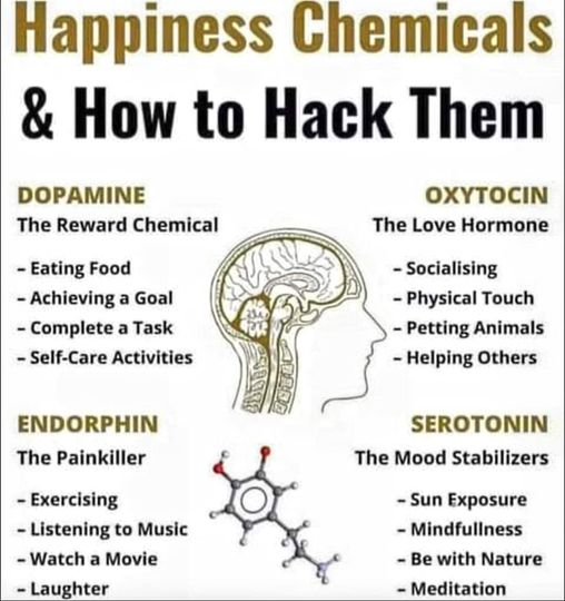 News & Chat by Alan - from SoCal now Central FL (@newsandchat) on Twitter photo 