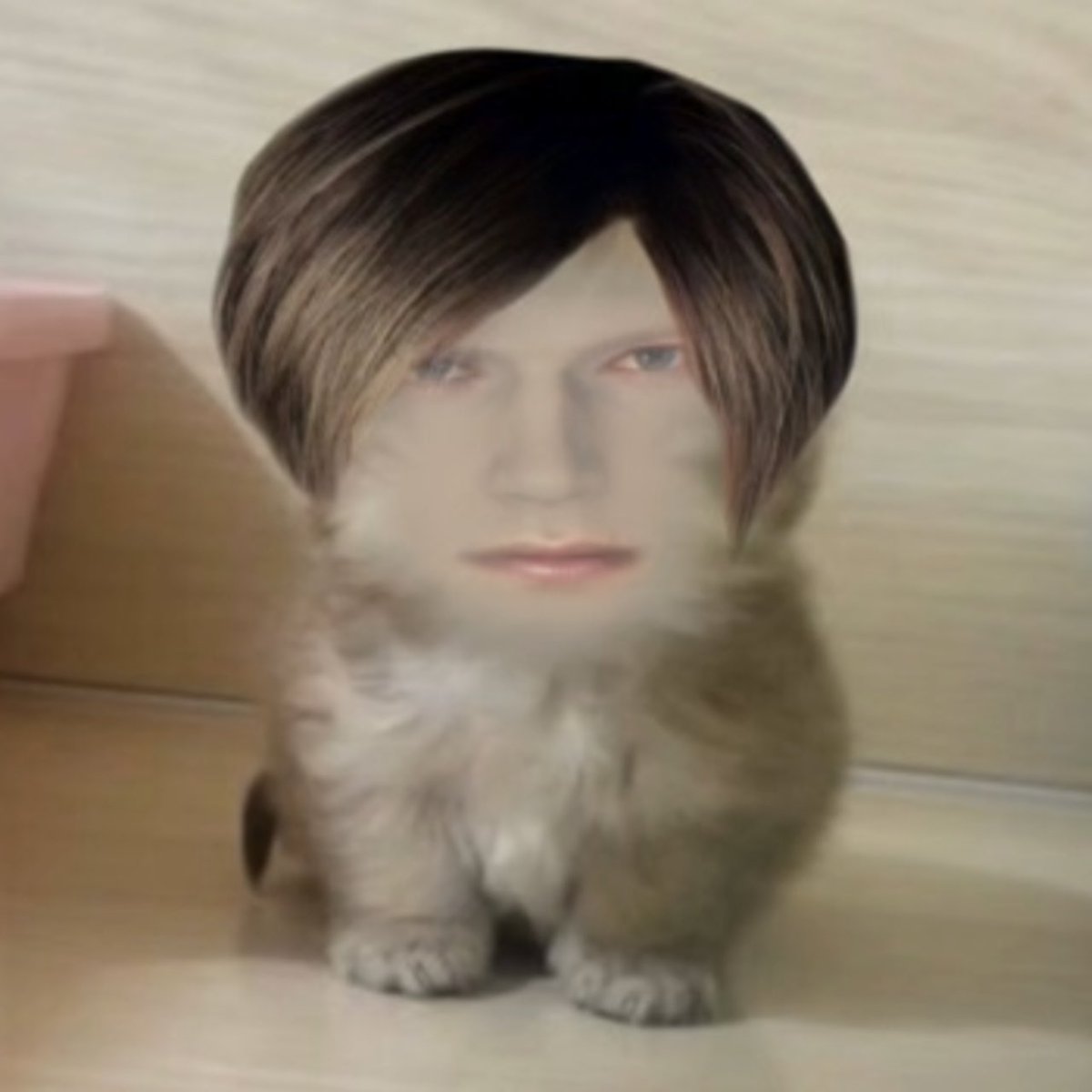 Fofo demais ❤️🥰 Miau 🐈🐾