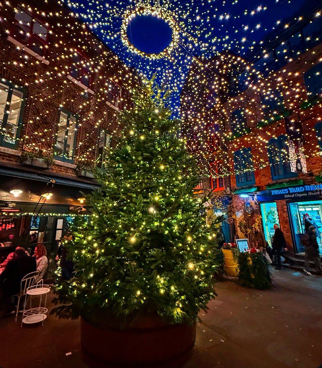 monty772011's tweet photo. Neal’s Yard, London, November 2024 #Nealsyard #CoventGarden #London #Christmas https://t.co/FcM2eGTozC