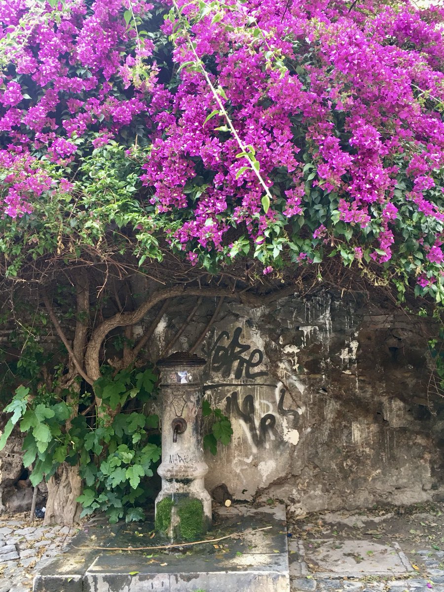 caputmundiHeidi's tweet photo. #Nasone
#Trastevere
#Roma 🤍 https://t.co/LlCSQgMW0x