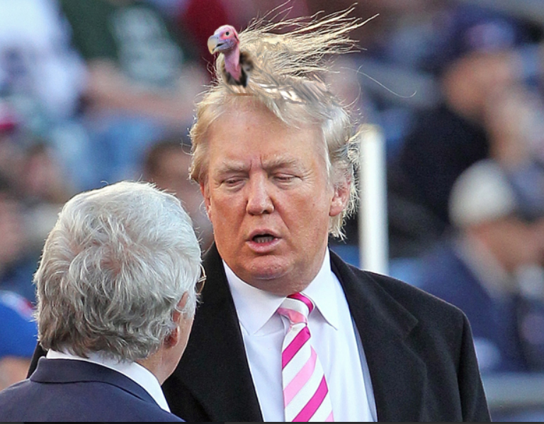 CMTv_Kenya's tweet photo. "Donald Trump + a playful bird = comedy gold! 😂🐦 You have to see this hilarious moment unfold! #DonaldTrump #FunnyMoments #BirdPlay" https://t.co/WxTRQWsrDB