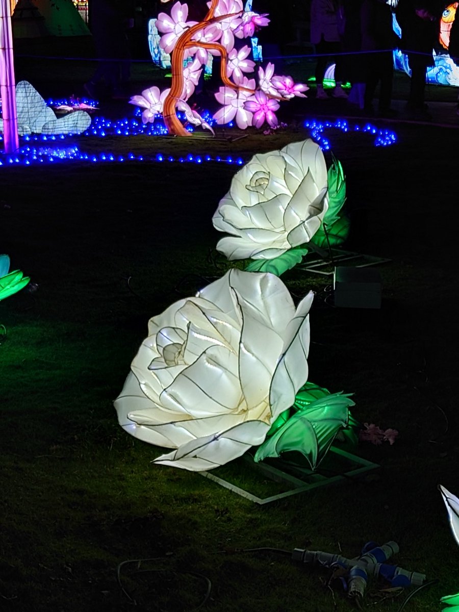 Yorkshire! Yorkshire!