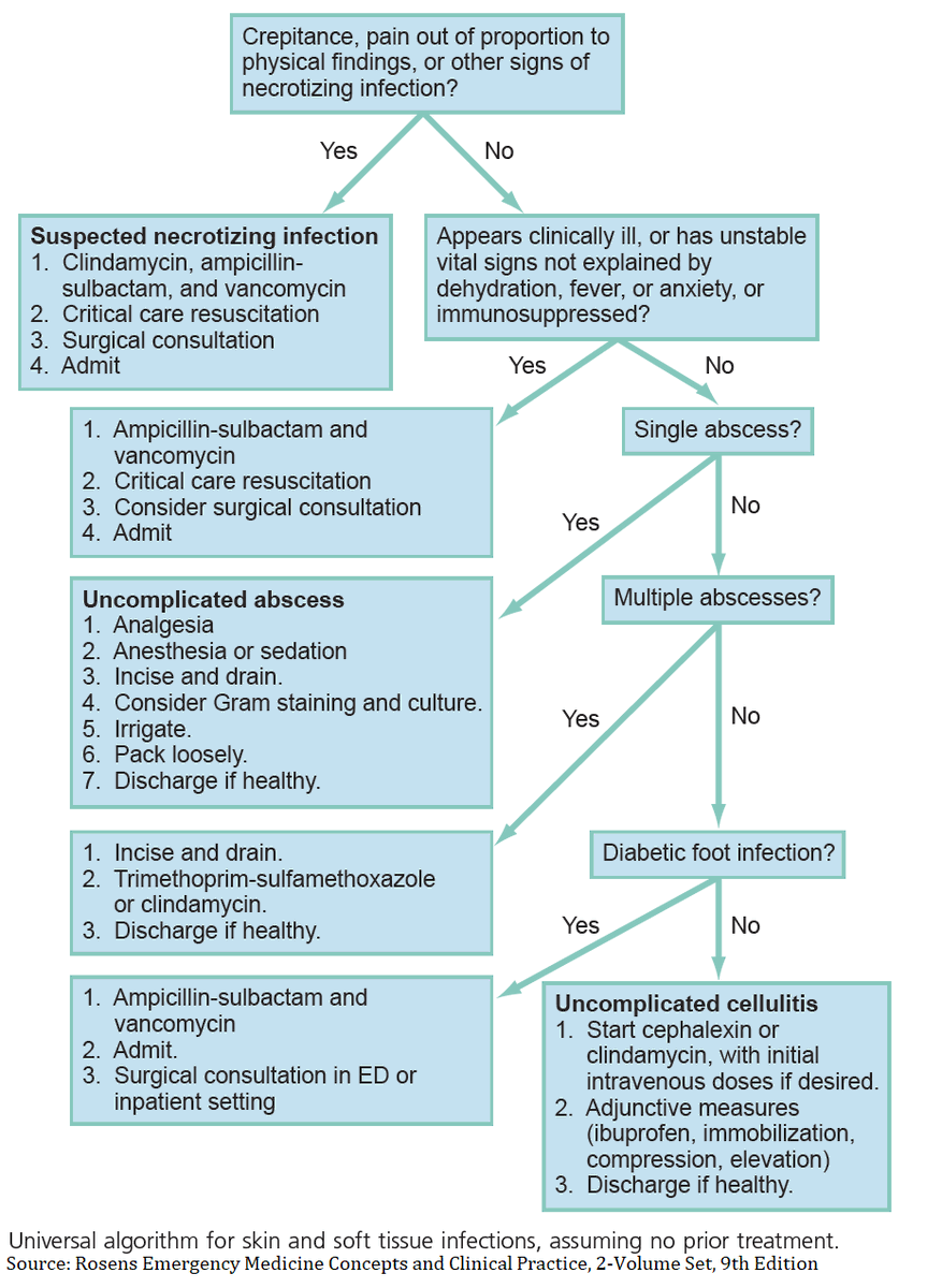 ManualOMedicine's tweet image. Algorithm for Skin and Soft Tissue Infections

#medtwitter #foamed #meded