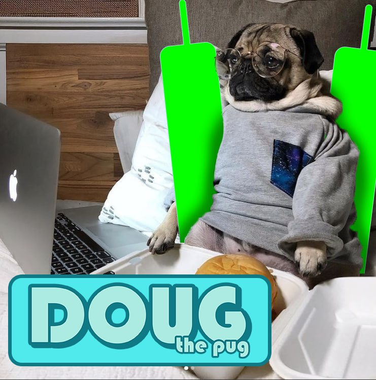SolPugDoug's tweet photo. $DOUG is live on @pumpdotfun 

Buy Link:  https://t.co/XTaXEIIaoK

Website: https://t.co/RmENOYP5FF
X: https://t.co/4lE5LSoxRv
Telegram: https://t.co/7TYam1c49N

Much Famous
TikTok: https://t.co/La3eeGeC9G
Instagram: https://t.co/mUcLQLl5xG
Youtube: https://t.co/v5tBIXAc0R https://t.co/iIvsWtAp26