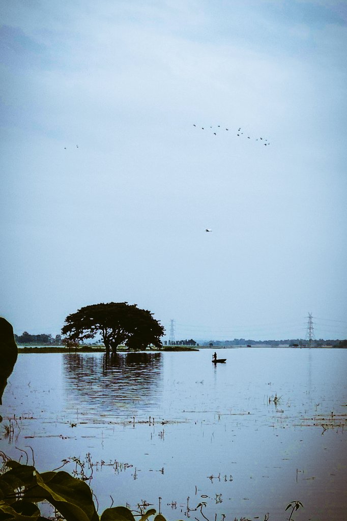 Whether to drift or remain... uncertainty is bliss.
