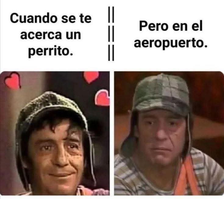 El Meme tweet media