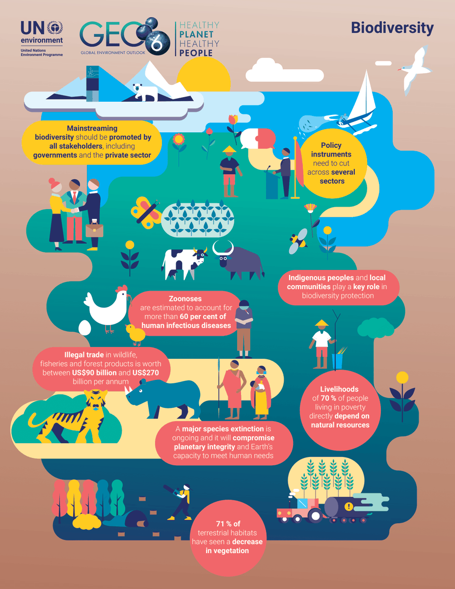 ipbes (@ipbes) on Twitter photo 🔍 Curious about how #biodiversity shapes our lives?
Discover how biodiversity impacts us all and why protecting it is crucial for a sustainable future #ForNature with this infographic from <a href="/UNEP/">UN Environment Programme</a>💡
Let's champion a healthier planet together! 🌿🌎 🔍 Curious about how #biodiversity shapes our lives?
Discover how biodiversity impacts us all and why protecting it is crucial for a sustainable future #ForNature with this infographic from <a href="/UNEP/">UN Environment Programme</a>💡
Let's champion a healthier planet together! 🌿🌎