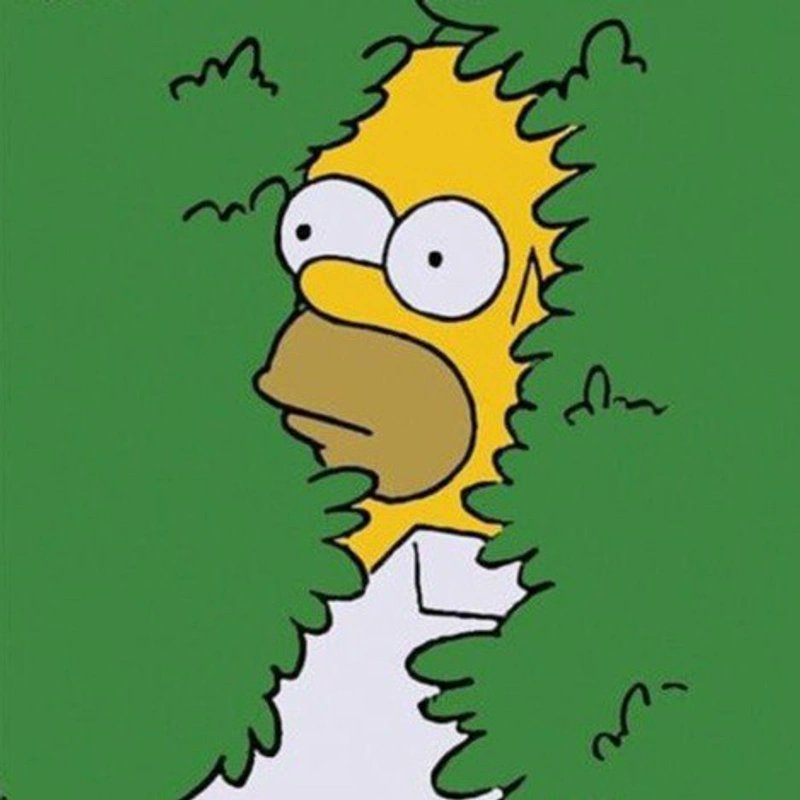 <a href="/Decu0x/">Decu</a> $Homer the cartoon meta is here