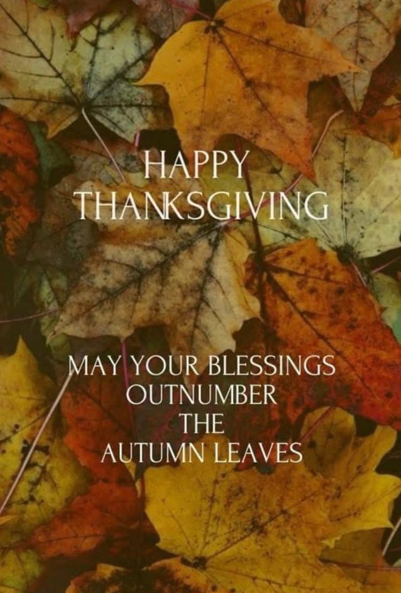 Greetings all! We hope you had a wonderful thanksgiving!🍂 🦃 Manga is thankful for the constant support from its team, volunteers, and the community❤️
Class is on today from 12-2:15pm! Available on zoom as well! To access the link, visit mangadance.org!