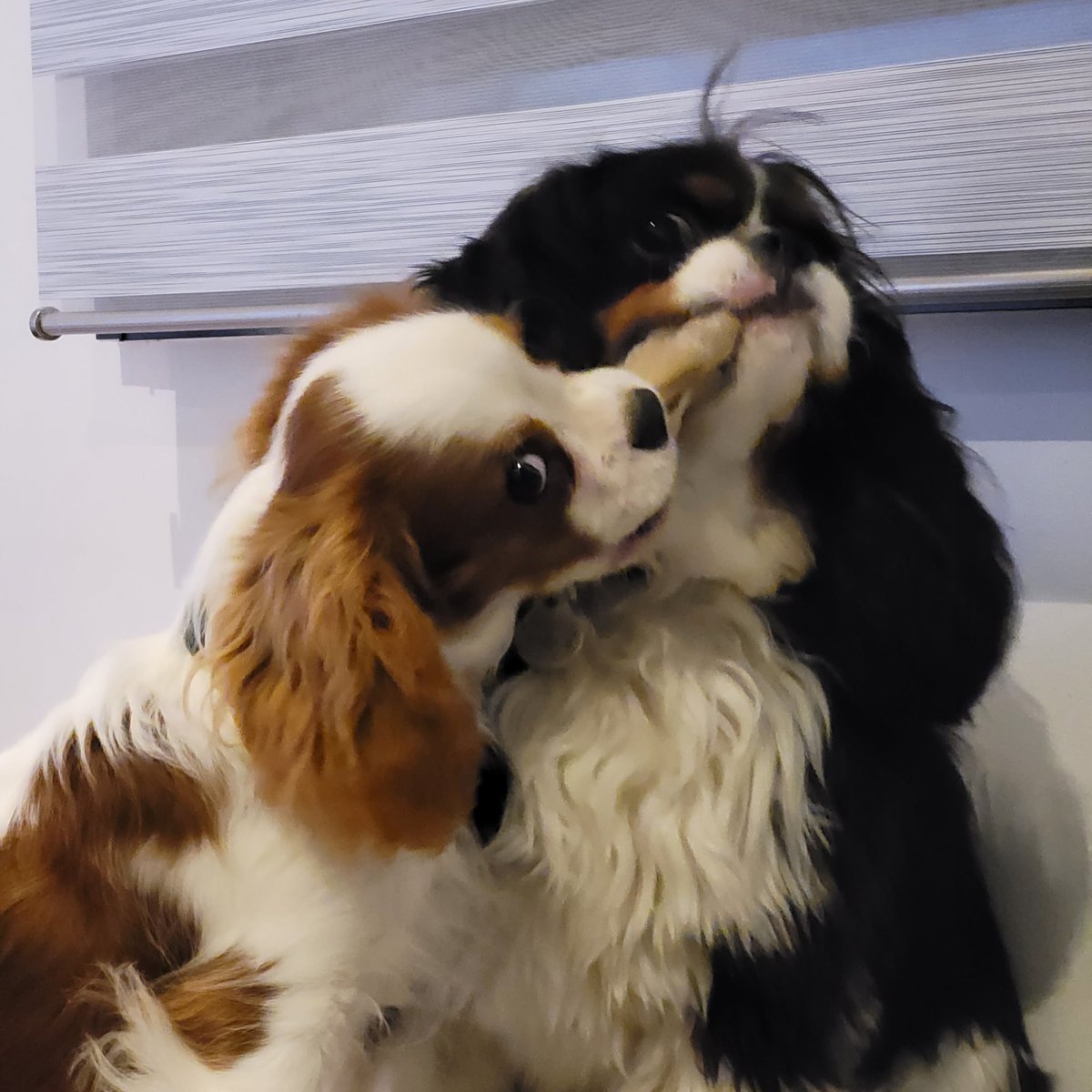 #NouvellePhotoDeProfil