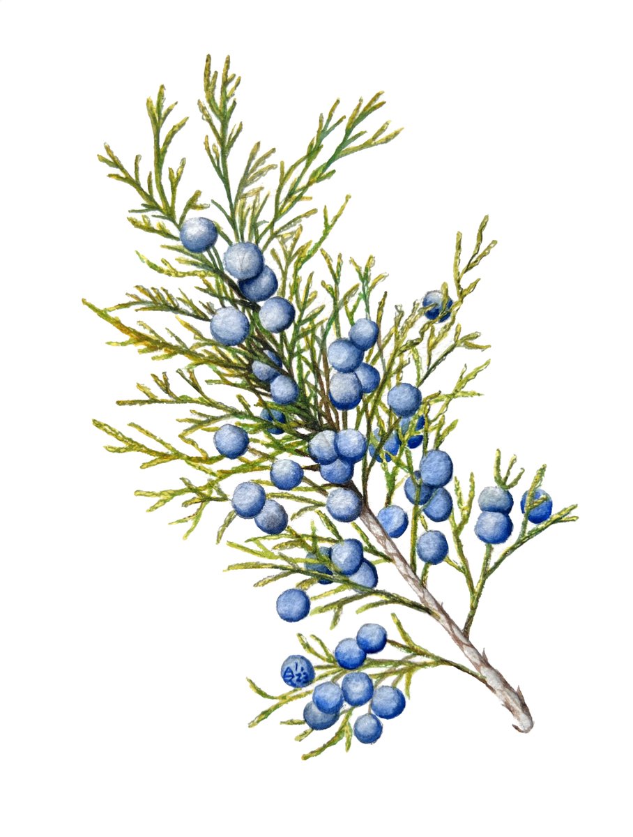 Lessonface tweet media