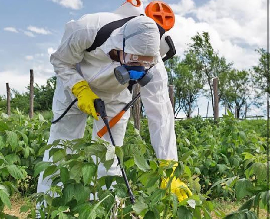 Herkesten aynı soruyu alıyorum
“Hocam nasıl korunuruz?”
Yıkanabilen karbonatlı suda bekletilecek,mümkün olan soyulacak
#zehirsiztarımistiyoruz
Ancak kötü haber: sistemik etkili olanlar hiç bir şekilde azalmıyor! ve ne yazık ki en tehlikelisi

Pestisitlerin reçeteyle satılması ile