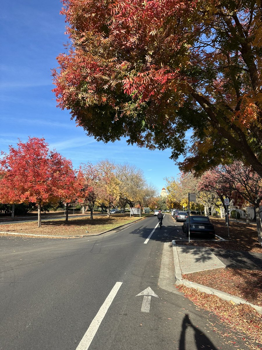 Fall colors @Stanford https://t.co/Xu4Khb0c4x