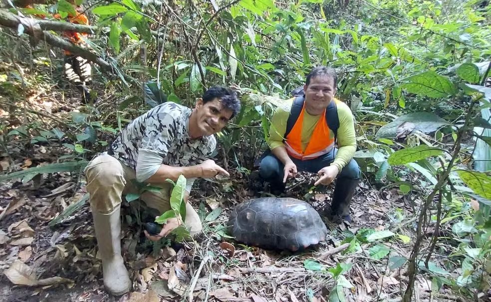 Pesquisadores encontram Jabuti de quase 30 quilos em Parque do Tumucumaque no AP

Veja em #g1AP 
g1.globo.com/ap/amapa/notic…