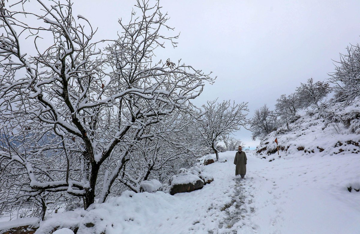RisingKashmir's tweet image. La Niña effect: #Kashmir to Experience Intense Winter with Heavy #Precipitation, prolonged #coldspells

@metsrinagar

risingkashmir.com/la-nina-effect…