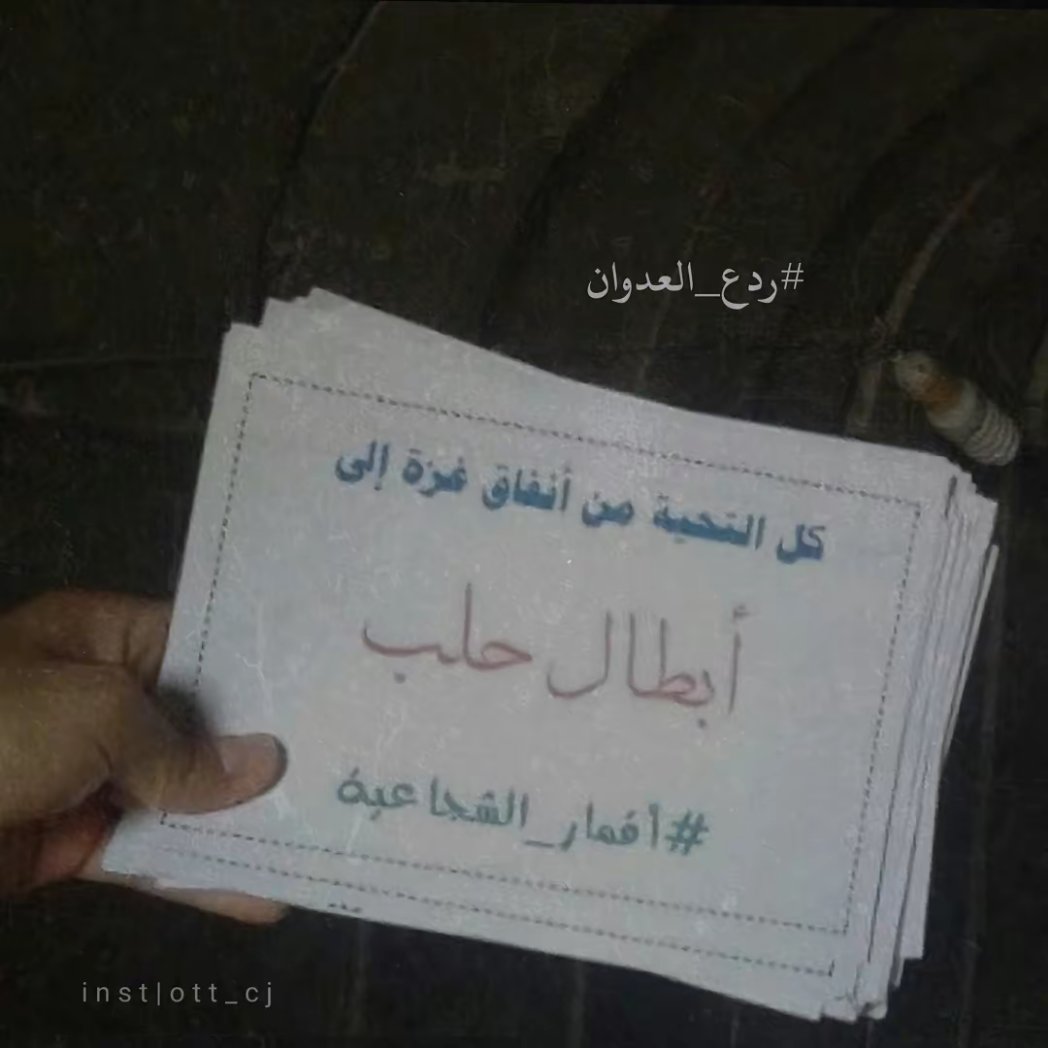 حيهم زلم القسام 🇵🇸💚