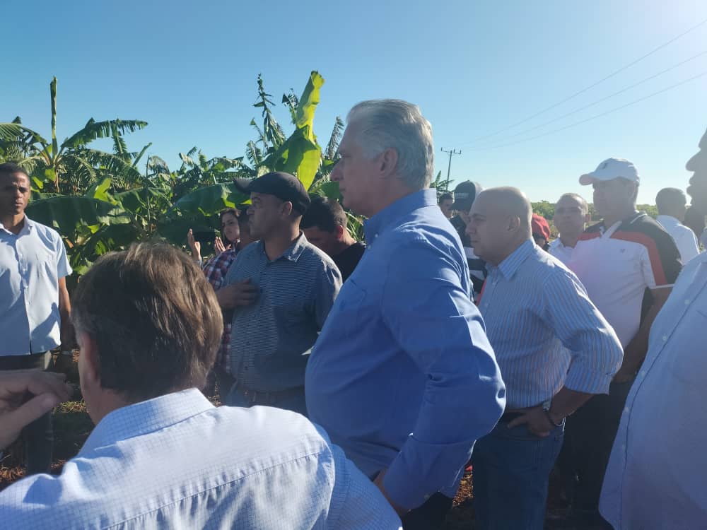 DrRobertoMOjeda's tweet photo. Como parte del recorrido por el matancero #PedroBetancourt conocimos de la estrategia para impulsar el programa tabacalero en el municipio. Este plan prevé el incremento de las áreas cultivables y la apertura de una fábrica para su procesamiento. #UnidosXCuba https://t.co/QNGPL7gvY8