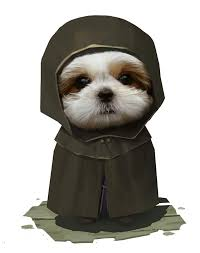 Para las personas que me siguen. ¿Les justaría que les regalará un proyecto de PR y AE?