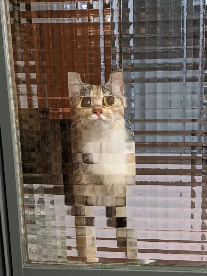 twaniimals's tweet photo. https://t.co/YBNoYWr28m