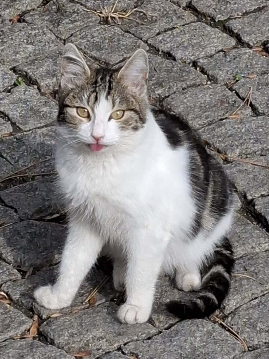 BUGUN GORDUGUM SALAKA BAKIN  😛😛